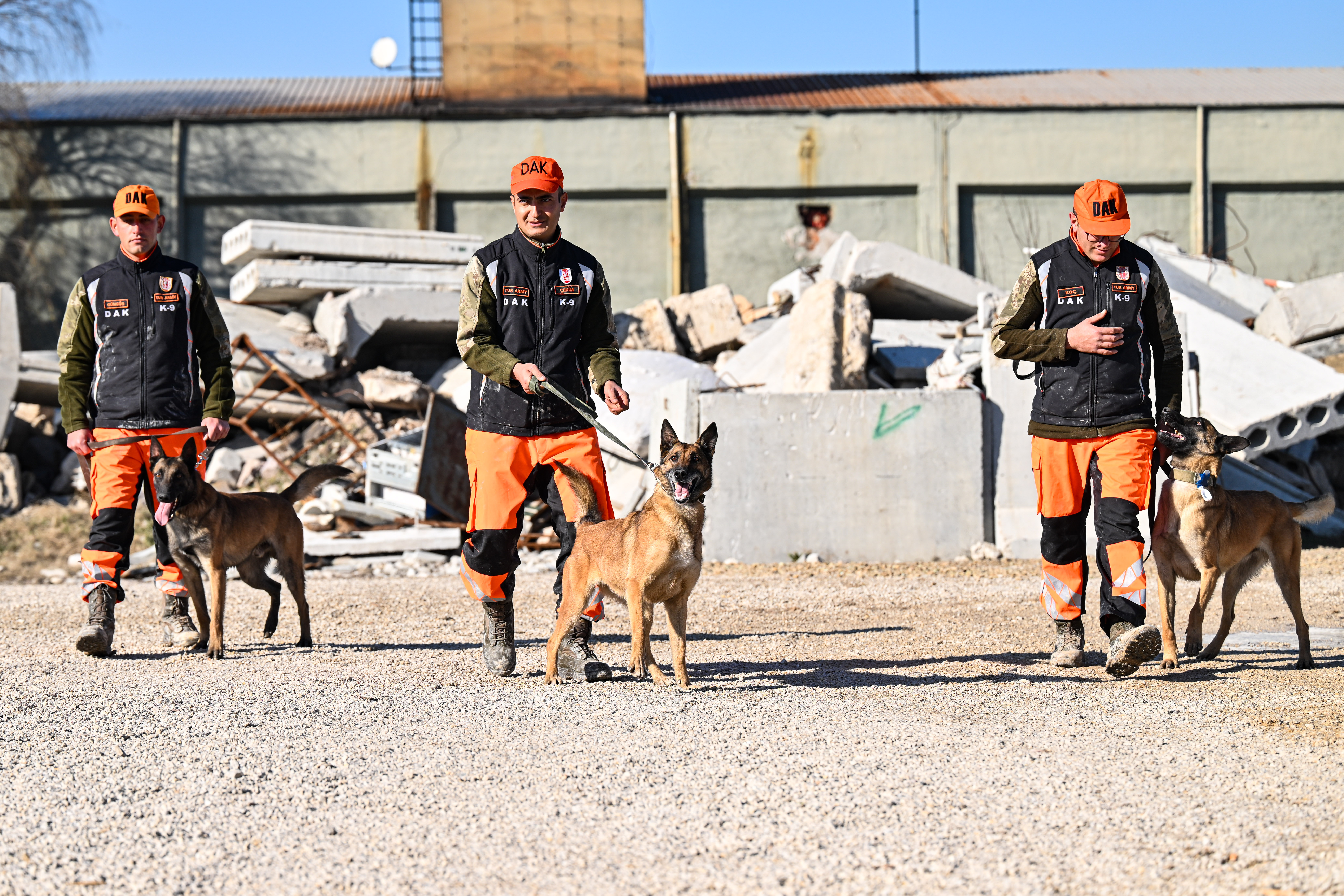 TSK'nın arama kurtarma köpekleri doğal afetlerde hayat kurtarıyor
