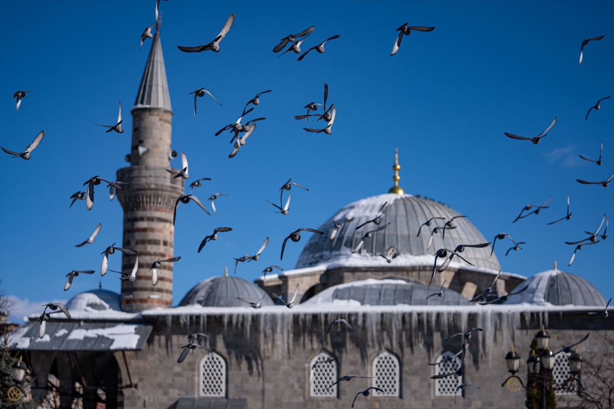 Tarihi mekanların sürekli misafirleri güvercinler