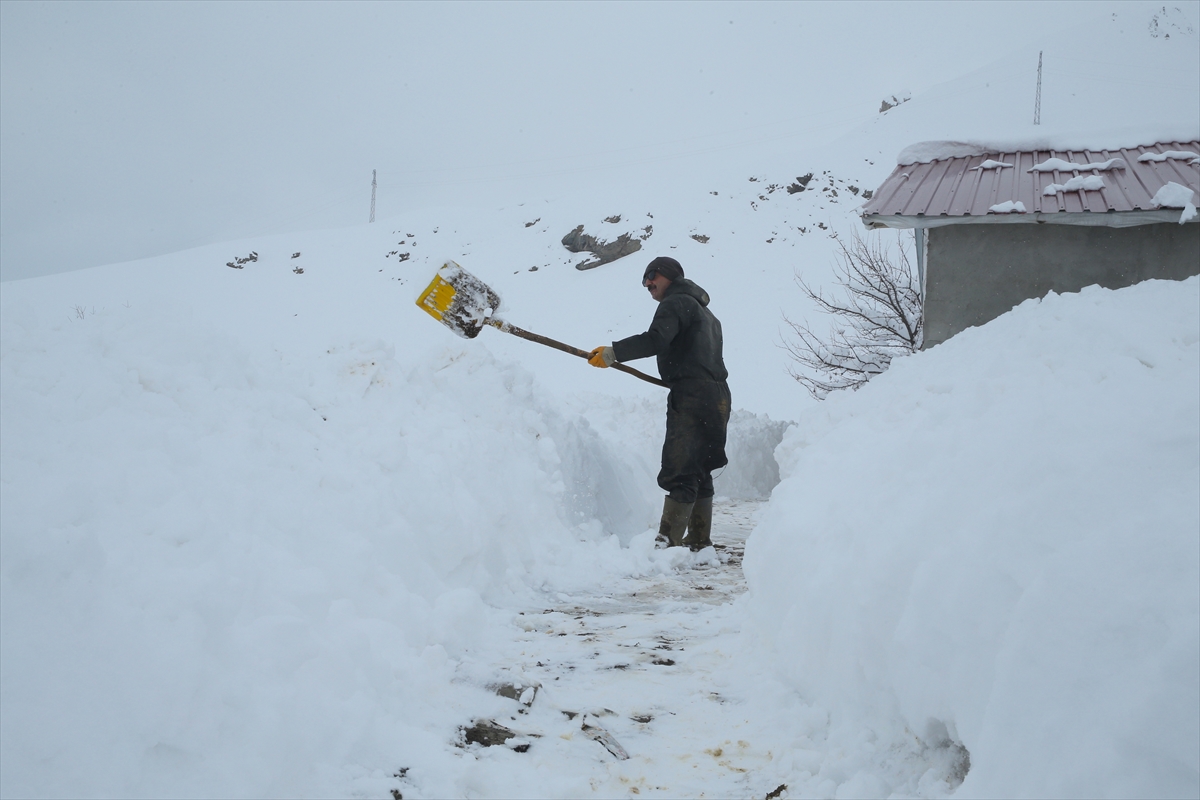 A A 20250206 36972399 36972385 H A K K A R I D E K A R Y A G I S I