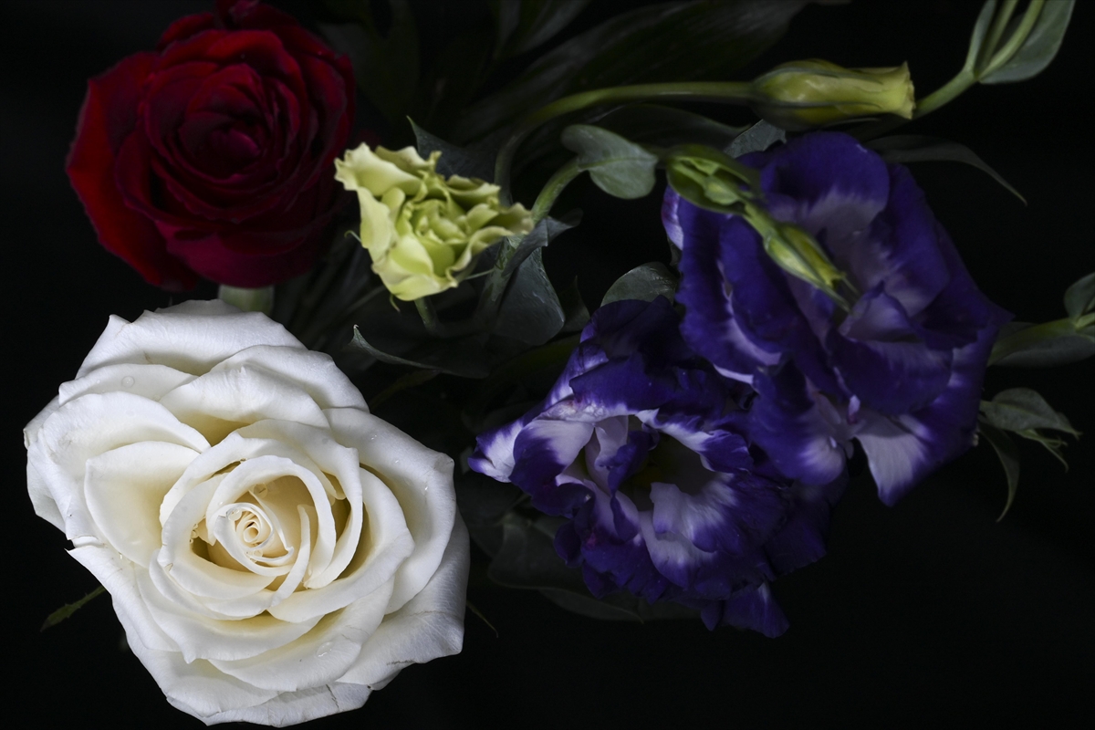 A A 20250213 37038041 37037999 C I C E K C I L E R D E S E V G I L I L E R G U N U H A R E K E T L I L I G I