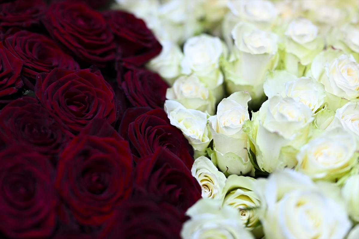 A A 20250213 37038041 37038021 C I C E K C I L E R D E S E V G I L I L E R G U N U H A R E K E T L I L I G I