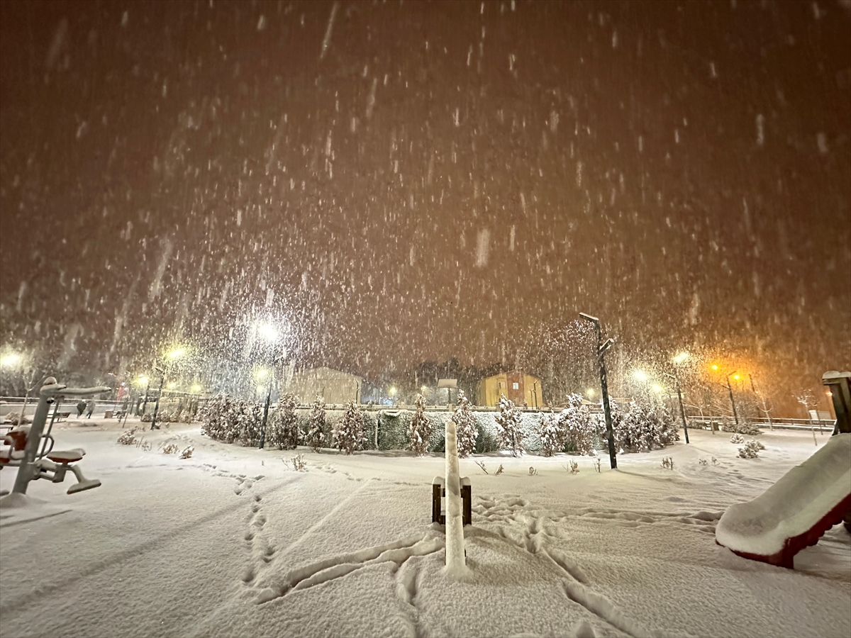 A A 20250220 37117783 37117778 V A N D A K A R Y A G I S I