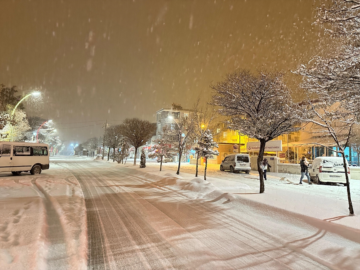 A A 20250220 37117783 37117782 V A N D A K A R Y A G I S I