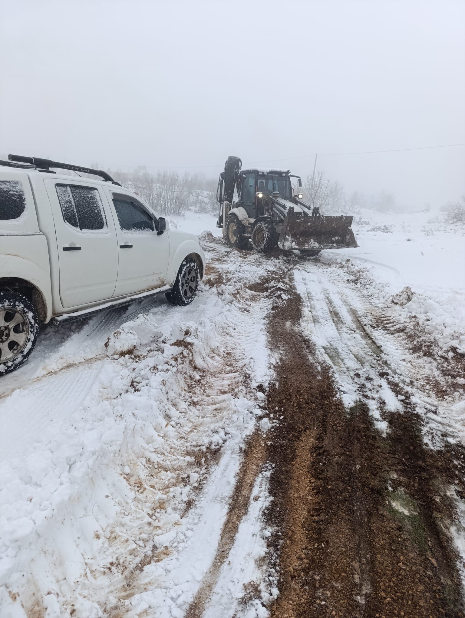 Whatsapp Image 2025 02 12 At 16.04.01