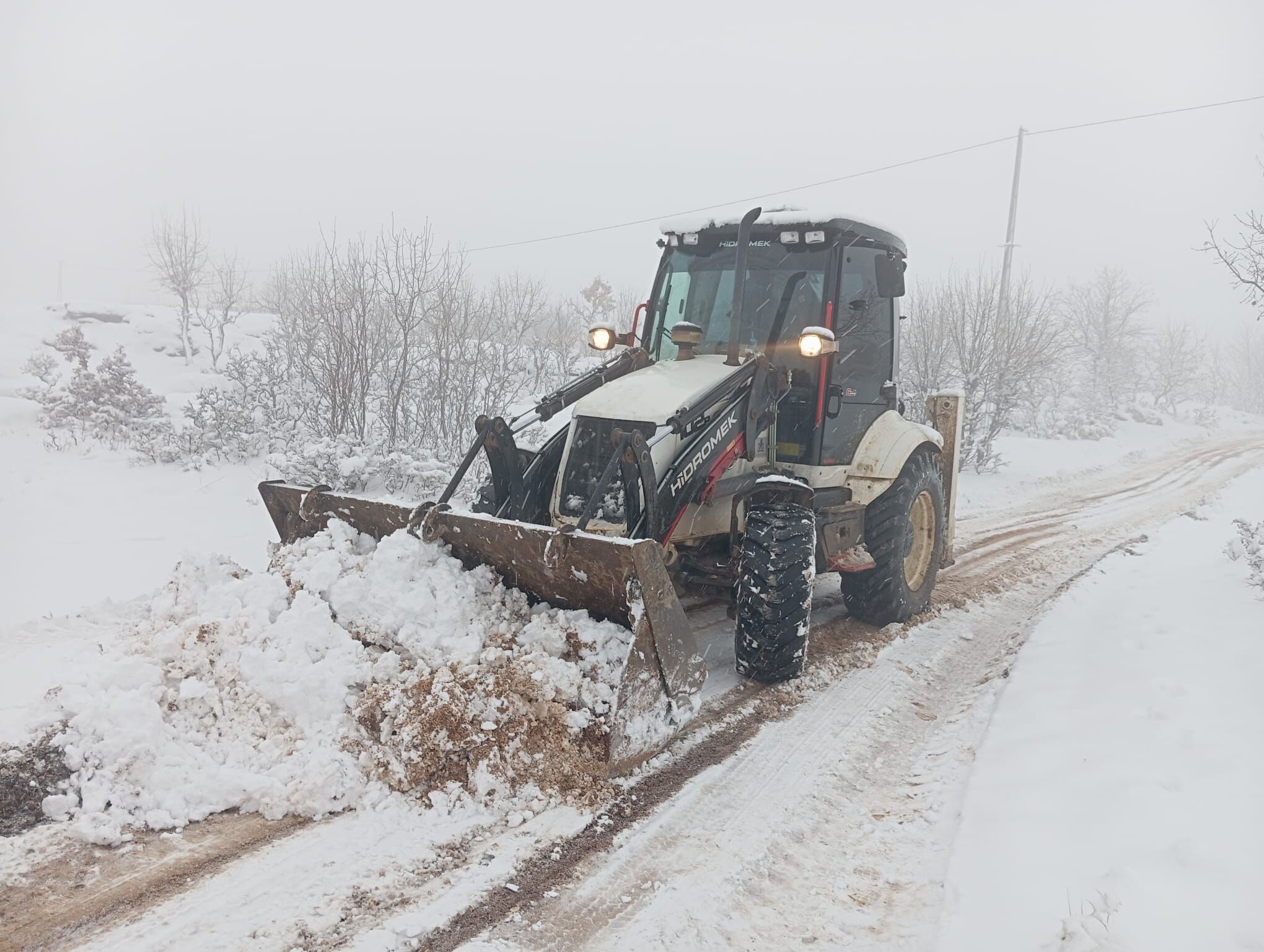 Whatsapp Image 2025 02 12 At 16.04.02