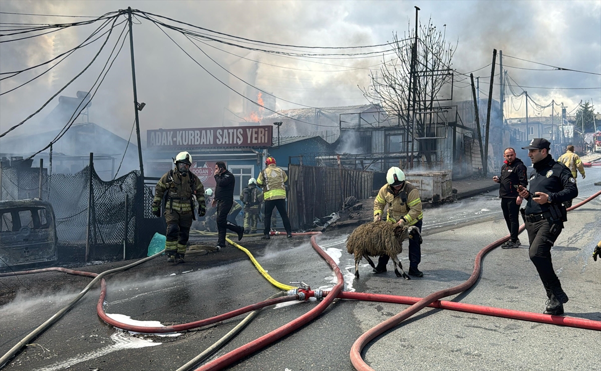 A A 20250411 37599270 37599266 B A S A K S E H I R D E B I R D E P O D A C I K A N Y A N G I N A M U D A H A L E E D I L I Y O R