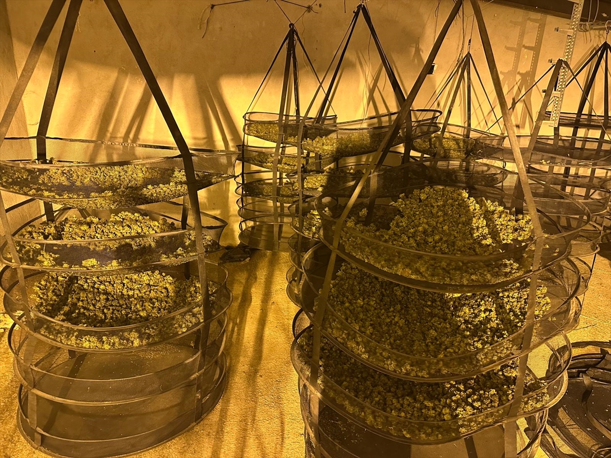 A A 20250416 37647702 37647701 K U R E S E L U Y U S T U R U C U A G I N I N C O K E R T I L D I G I O R K I N O S B U L U T O P E R A S Y O N U N U N D E T A Y L A R I N A U L A S I L D I