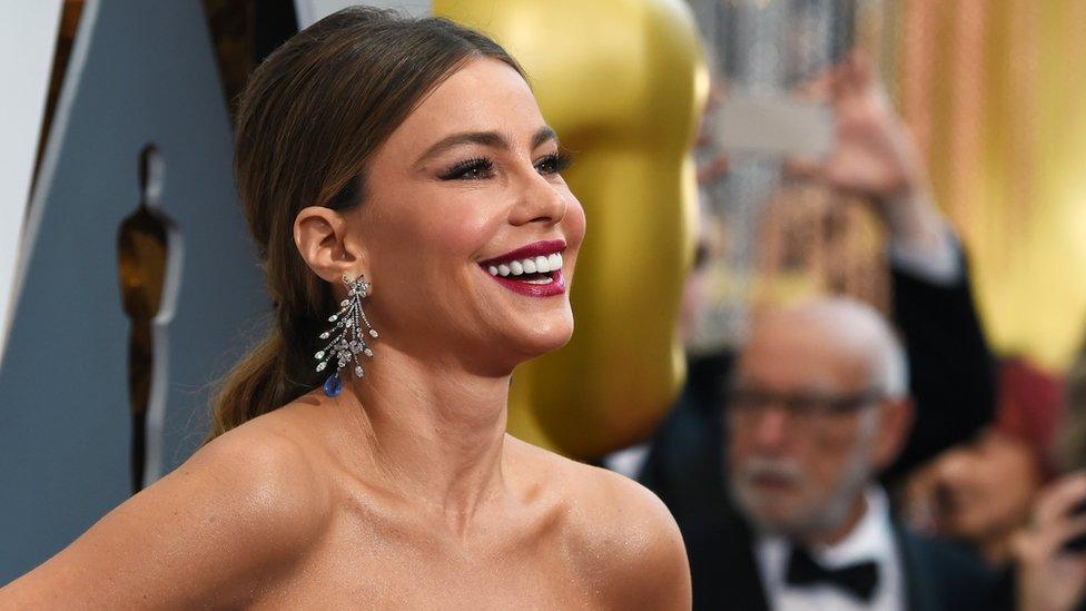91196459 Sofiavergara