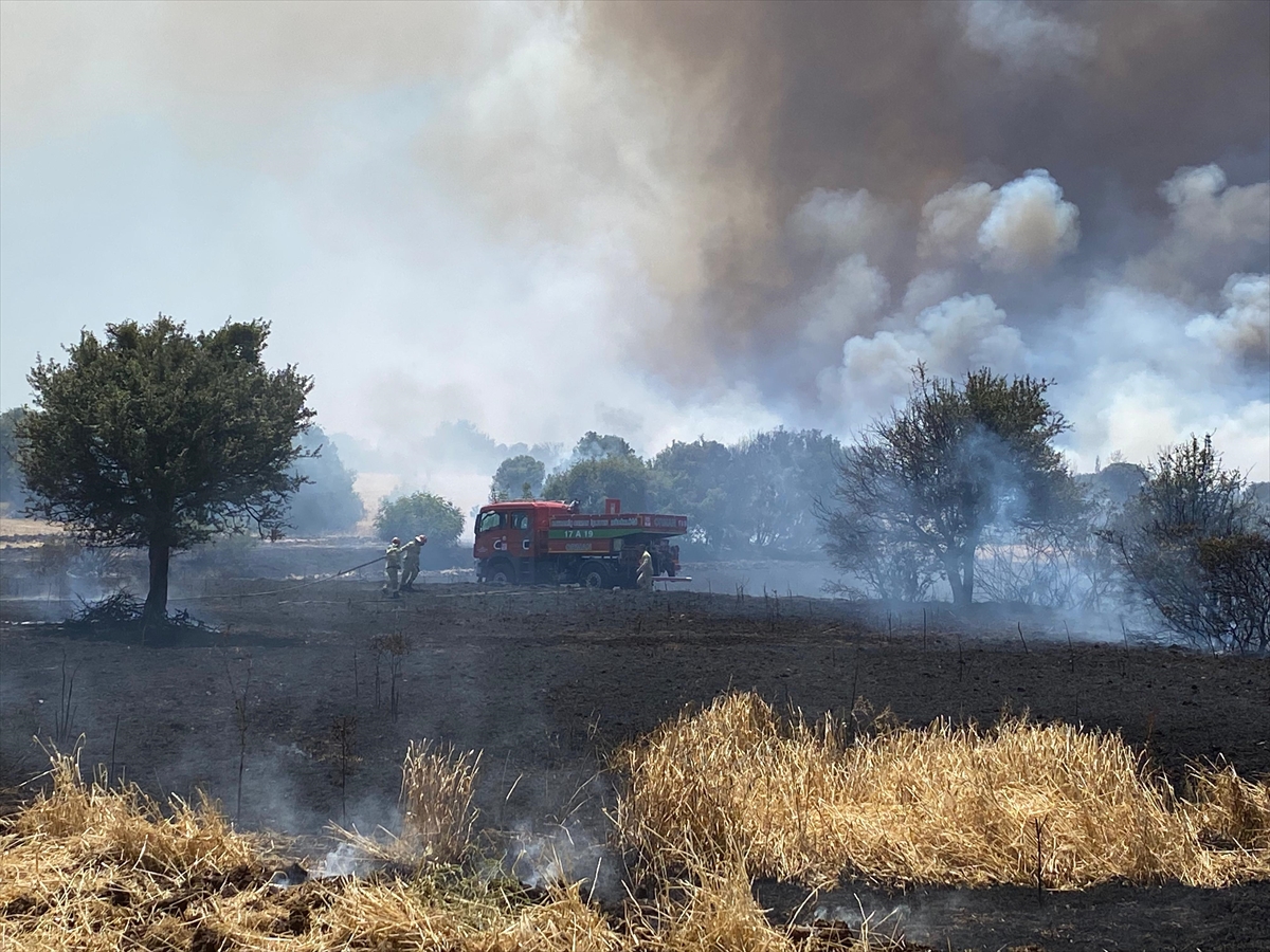 A A 20250624 38373305 38373303 C A N A K K A L E D E T A R I M A R A Z I S I N D E B A S L A Y A N Y A N G I N A H A V A D A N V E K A R A D A N M U D A H A L E E D I L I Y O R