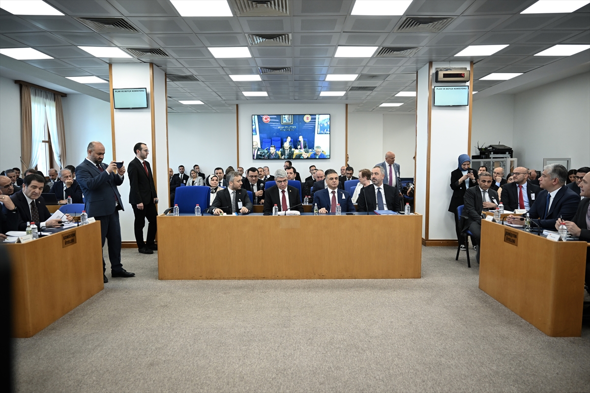 A A 20250625 38380798 38380793 E K O N O M I Y E I L I S K I N D U Z E N L E M E L E R I C E R E N K A N U N T E K L I F I T B M M P L A N V E B U T C E K O M I S Y O N U N D A