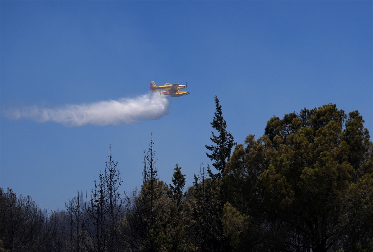 A A 20250627 38402299 38402288 I Z M I R I N A L I A G A I L C E S I N D E C I K A N O R M A N Y A N G I N I N A M U D A H A L E E D I L I Y O R