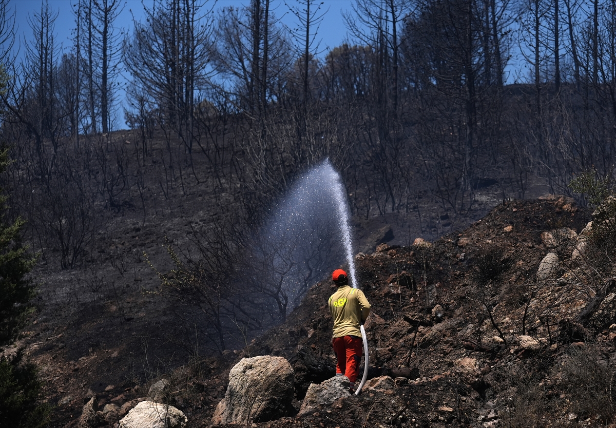 A A 20250627 38402299 38402297 I Z M I R I N A L I A G A I L C E S I N D E C I K A N O R M A N Y A N G I N I N A M U D A H A L E E D I L I Y O R