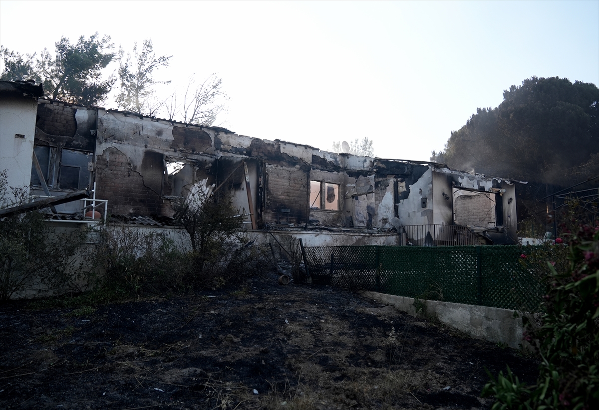 A A 20250630 38424201 38424190 I Z M I R S E F E R I H I S A R D A K I O R M A N Y A N G I N I N D A 345 H A N E N I N B U L U N D U G U S I T E D E K I B A Z I E V L E R Z A R A R G O R D U