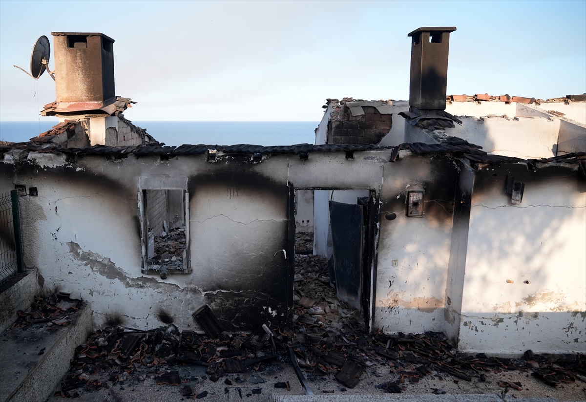 A A 20250630 38424201 38424191 I Z M I R S E F E R I H I S A R D A K I O R M A N Y A N G I N I N D A 345 H A N E N I N B U L U N D U G U S I T E D E K I B A Z I E V L E R Z A R A R G O R D U