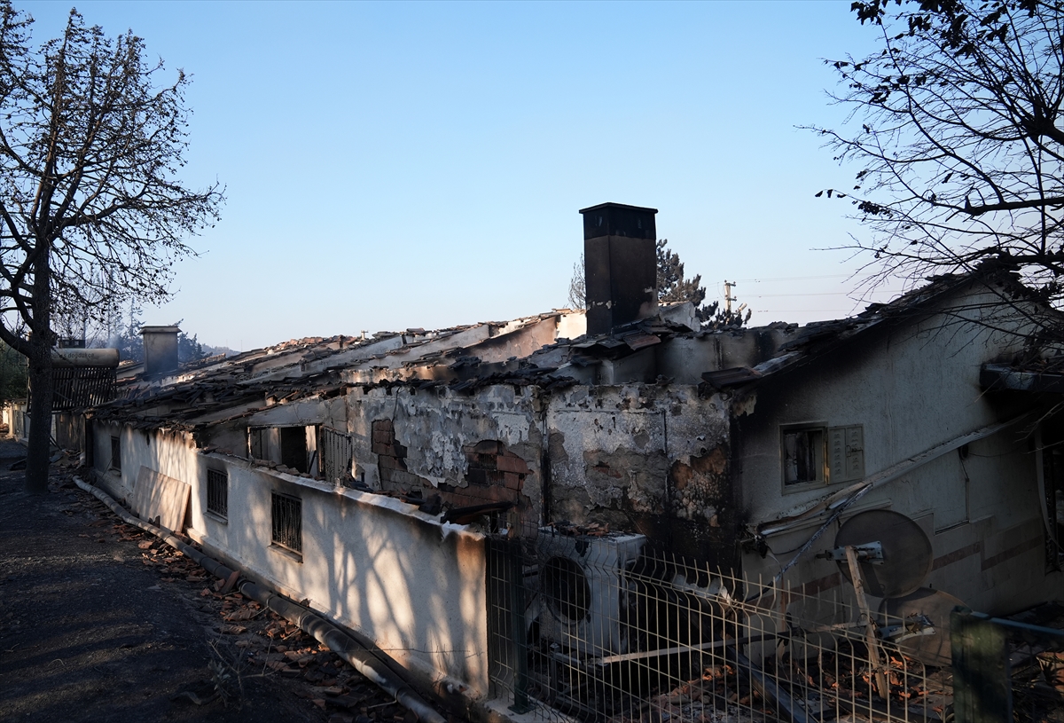 A A 20250630 38424201 38424194 I Z M I R S E F E R I H I S A R D A K I O R M A N Y A N G I N I N D A 345 H A N E N I N B U L U N D U G U S I T E D E K I B A Z I E V L E R Z A R A R G O R D U