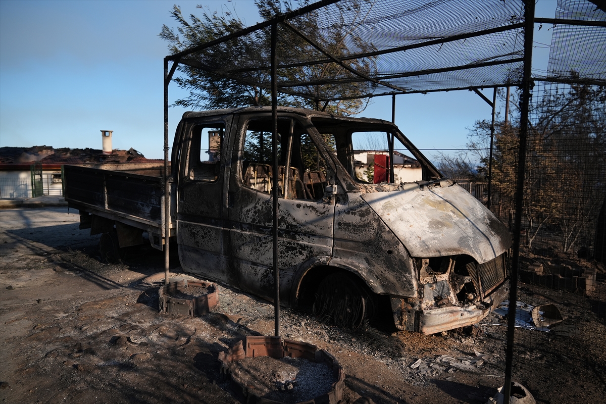 A A 20250630 38424201 38424196 I Z M I R S E F E R I H I S A R D A K I O R M A N Y A N G I N I N D A 345 H A N E N I N B U L U N D U G U S I T E D E K I B A Z I E V L E R Z A R A R G O R D U