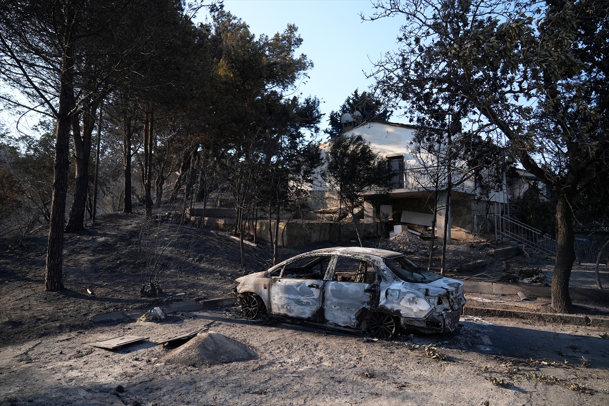 A A 20250630 38424201 38424197 I Z M I R S E F E R I H I S A R D A K I O R M A N Y A N G I N I N D A 345 H A N E N I N B U L U N D U G U S I T E D E K I B A Z I E V L E R Z A R A R G O R D U