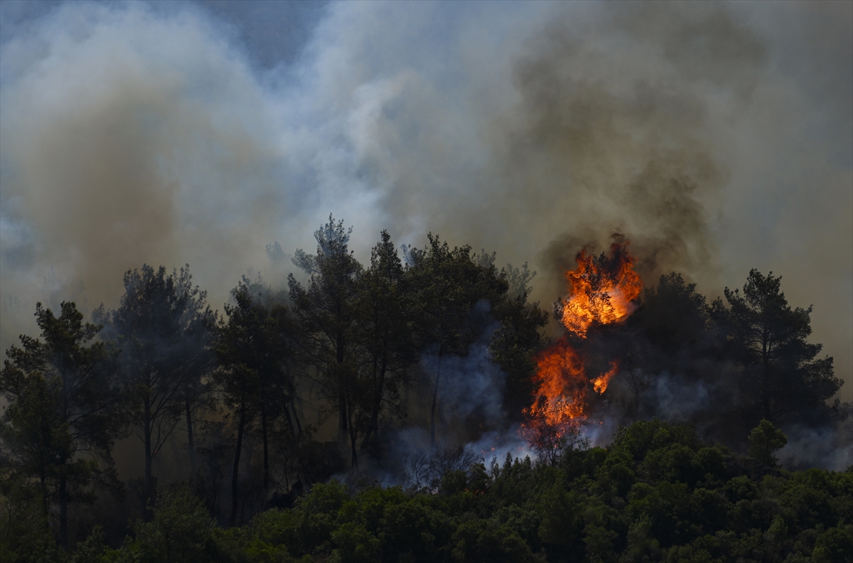 A A 20250630 38426464 38426456 I Z M I R I N M E N D E R E S V E S E F E R I H I S A R I L C E L E R I N D E C I K A N O R M A N Y A N G I N L A R I N A M U D A H A L E S U R U Y O R