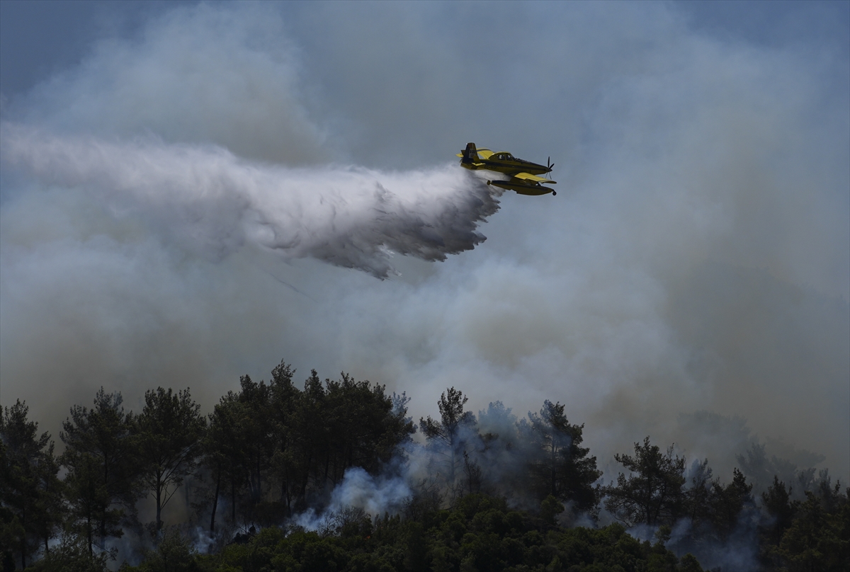 A A 20250630 38426464 38426457 I Z M I R I N M E N D E R E S V E S E F E R I H I S A R I L C E L E R I N D E C I K A N O R M A N Y A N G I N L A R I N A M U D A H A L E S U R U Y O R