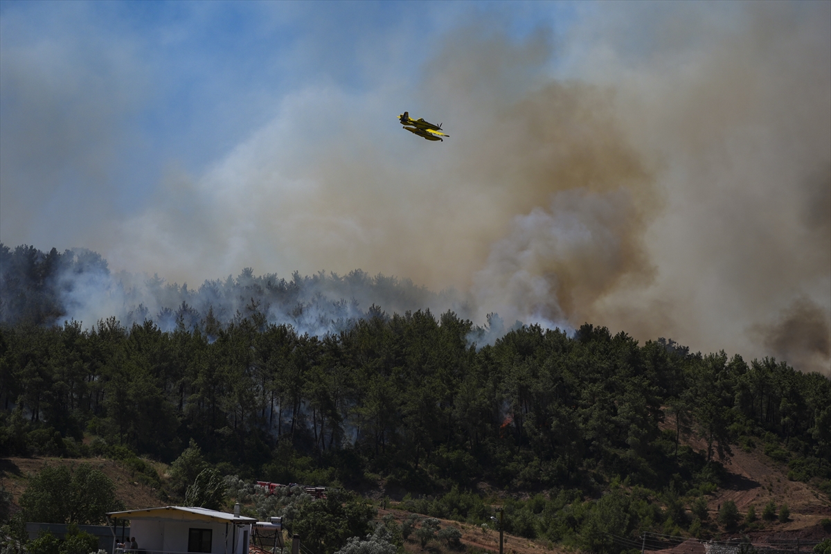 A A 20250630 38426464 38426463 I Z M I R I N M E N D E R E S V E S E F E R I H I S A R I L C E L E R I N D E C I K A N O R M A N Y A N G I N L A R I N A M U D A H A L E S U R U Y O R