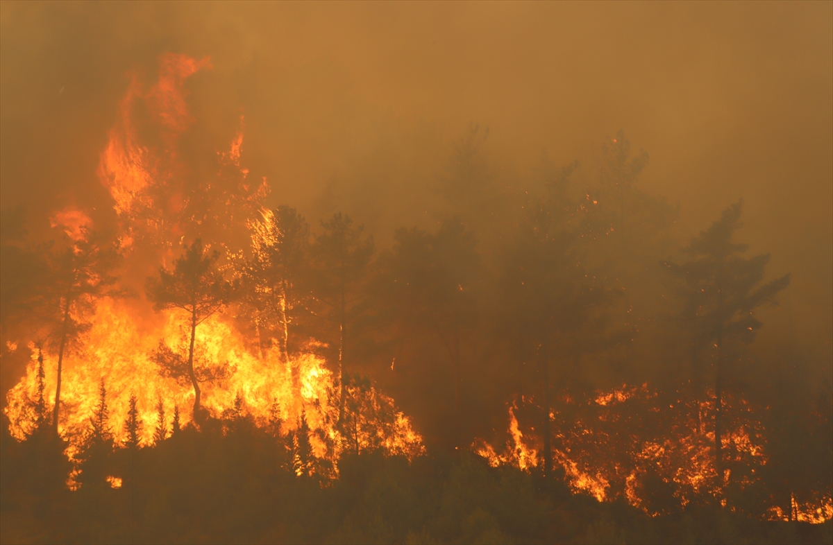 A A 20250701 38437425 38437413 H A T A Y D A D E V A M E D E N O R M A N Y A N G I N I N A M U D A H A L E S U R U Y O R-1