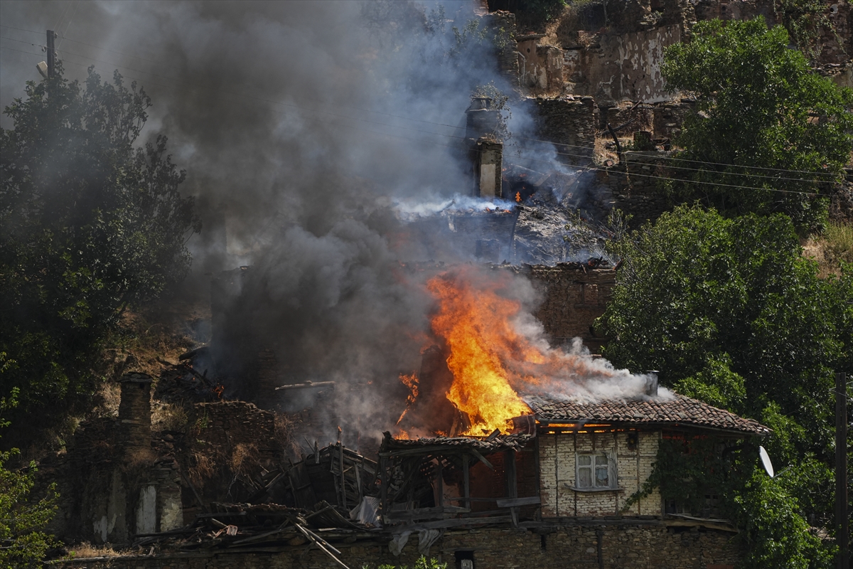 A A 20250703 38457318 38457300 I Z M I R I N O D E M I S I L C E S I N D E K I O R M A N Y A N G I N I N A M U D A H A L E S U R U Y O R