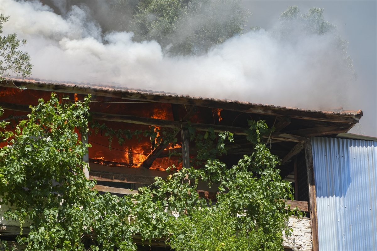 A A 20250703 38457318 38457305 I Z M I R I N O D E M I S I L C E S I N D E K I O R M A N Y A N G I N I N A M U D A H A L E S U R U Y O R