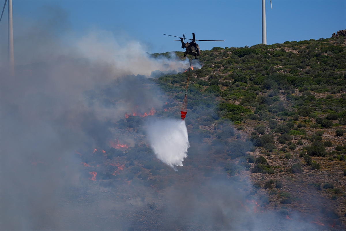 A A 20250703 38457892 38457887 I Z M I R I N C E S M E I L C E S I N D E C I K A N O R M A N Y A N G I N I N A M U D A H A L E S U R U Y O R