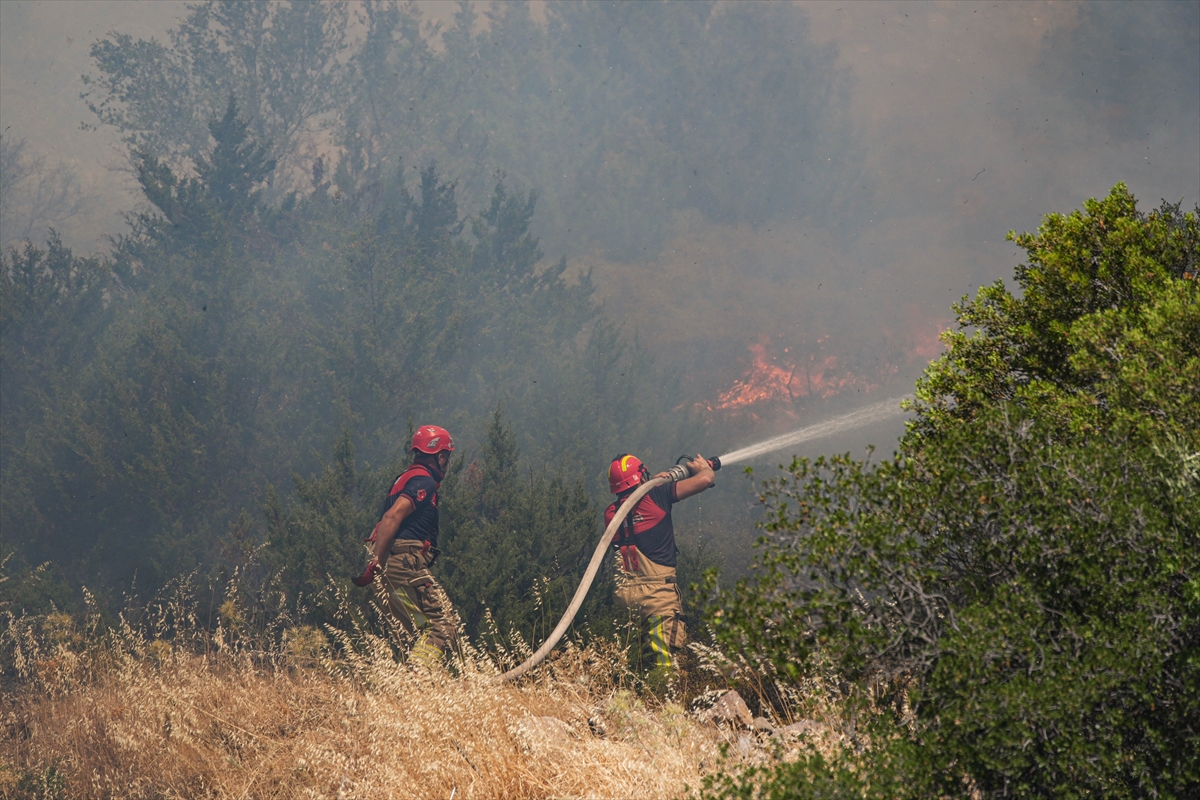 A A 20250703 38457892 38457889 I Z M I R I N C E S M E I L C E S I N D E C I K A N O R M A N Y A N G I N I N A M U D A H A L E S U R U Y O R