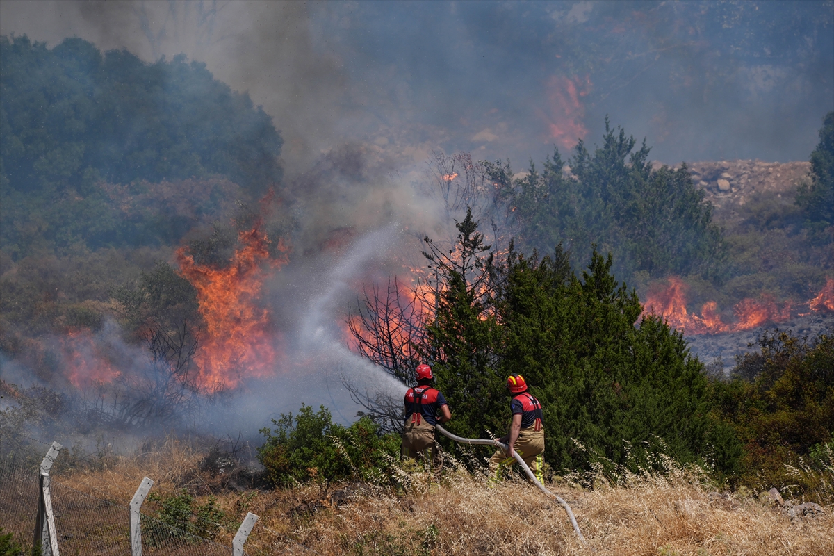 A A 20250703 38457892 38457891 I Z M I R I N C E S M E I L C E S I N D E C I K A N O R M A N Y A N G I N I N A M U D A H A L E S U R U Y O R