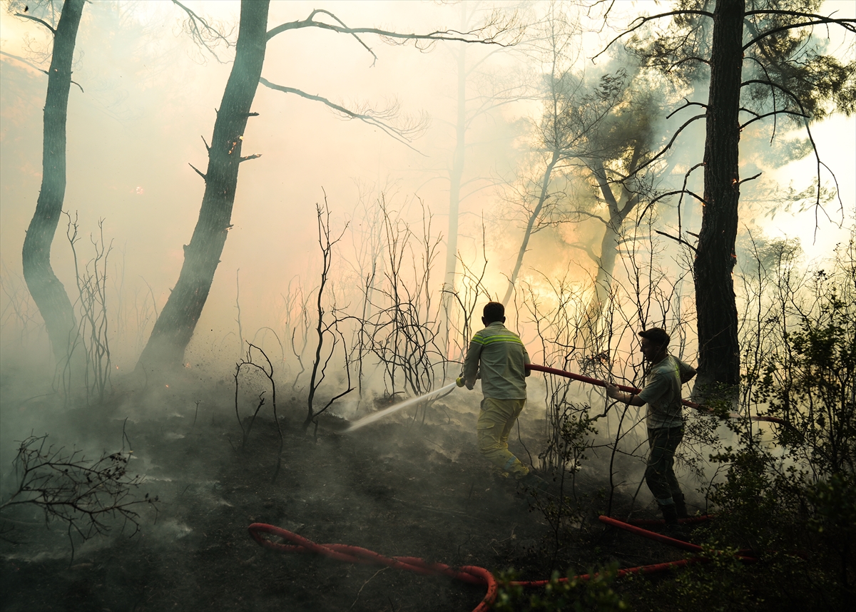 A A 20250704 38465328 38465322 I Z M I R I N B U C A I L C E S I N D E K I O R M A N Y A N G I N I N A M U D A H A L E E D I L I Y O R