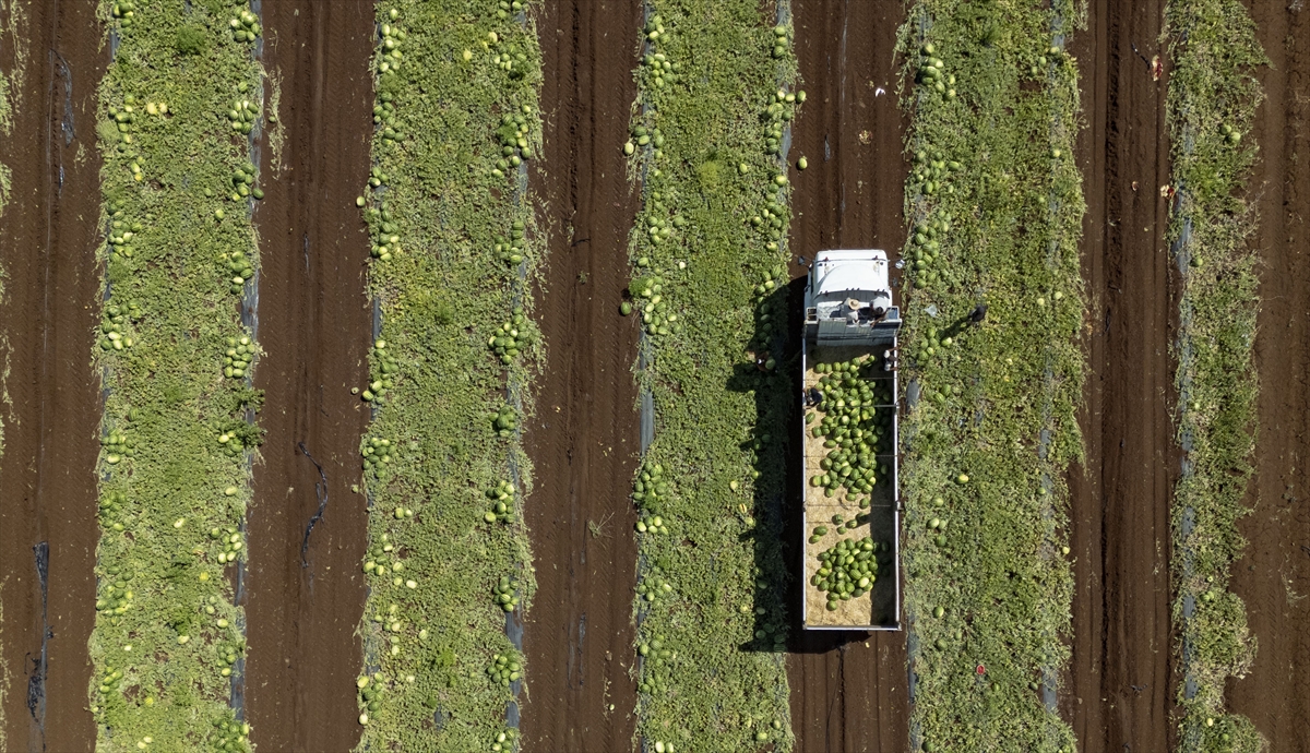 A A 20250708 38501984 38501953 D I Y A R B A K I R D A 40 D E R E C E Y I A S A N S I C A K T A K A R P U Z H A S A D I-1