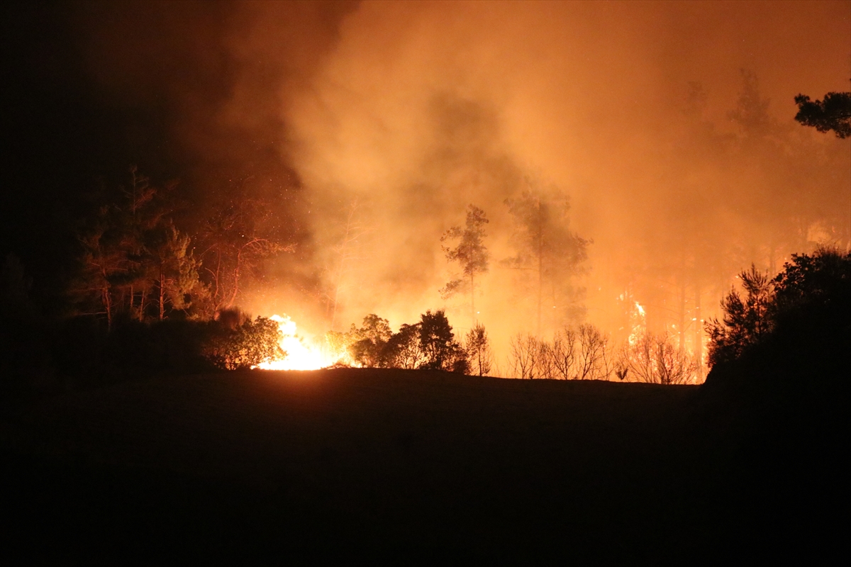 A A 20250711 38538993 38538980 B A Y I R B U C A K T A K I O R M A N Y A N G I N I 10 G U N U N D E S U R U Y O R