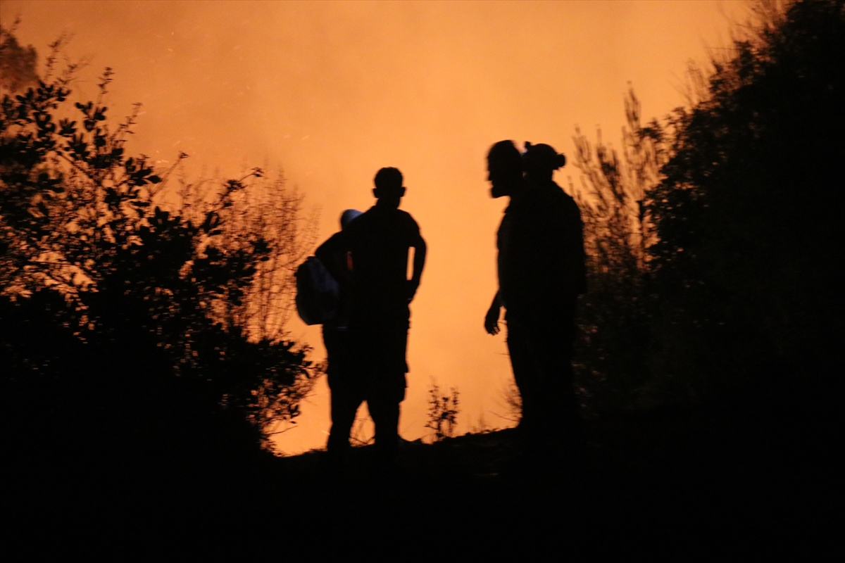 A A 20250711 38538993 38538982 B A Y I R B U C A K T A K I O R M A N Y A N G I N I 10 G U N U N D E S U R U Y O R