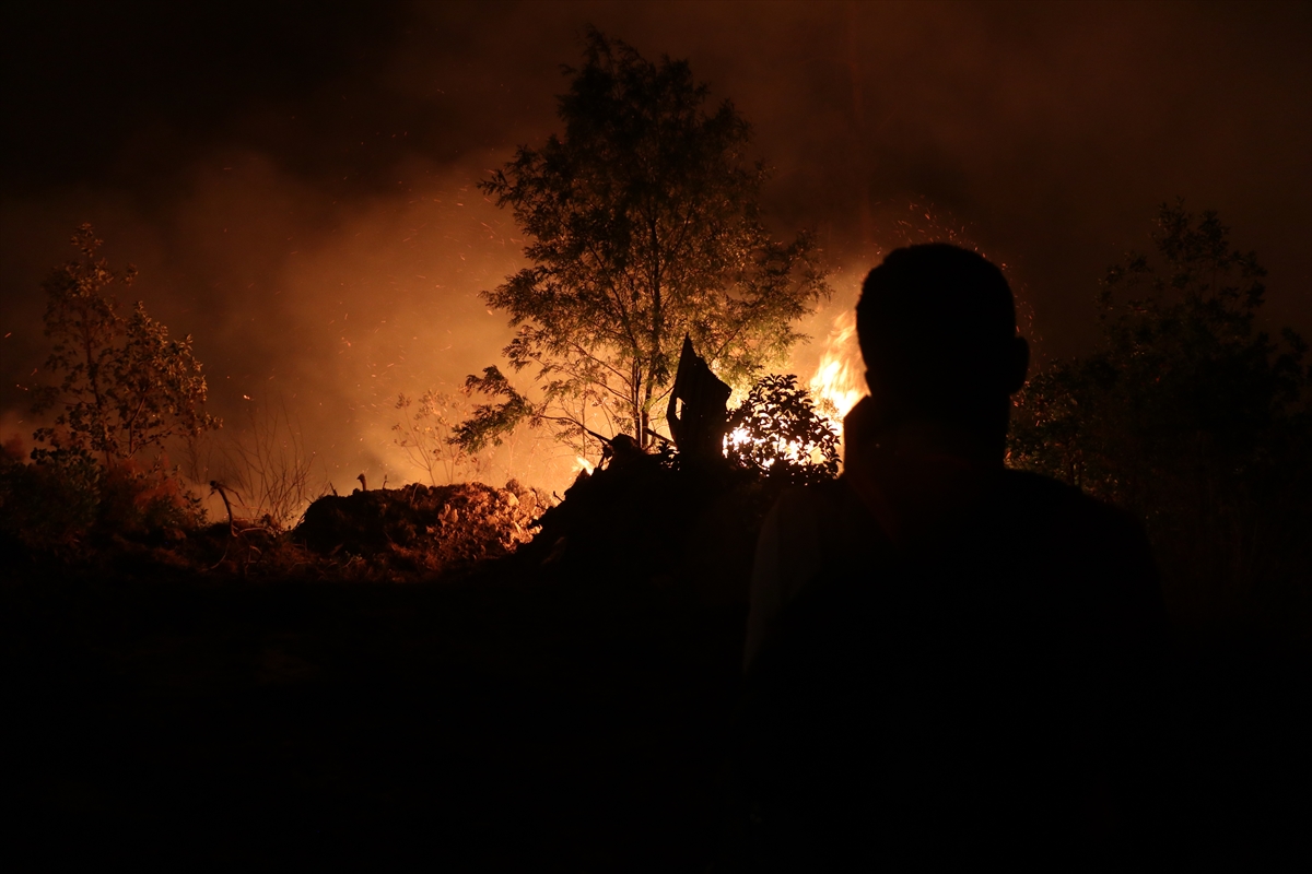 A A 20250711 38538993 38538987 B A Y I R B U C A K T A K I O R M A N Y A N G I N I 10 G U N U N D E S U R U Y O R