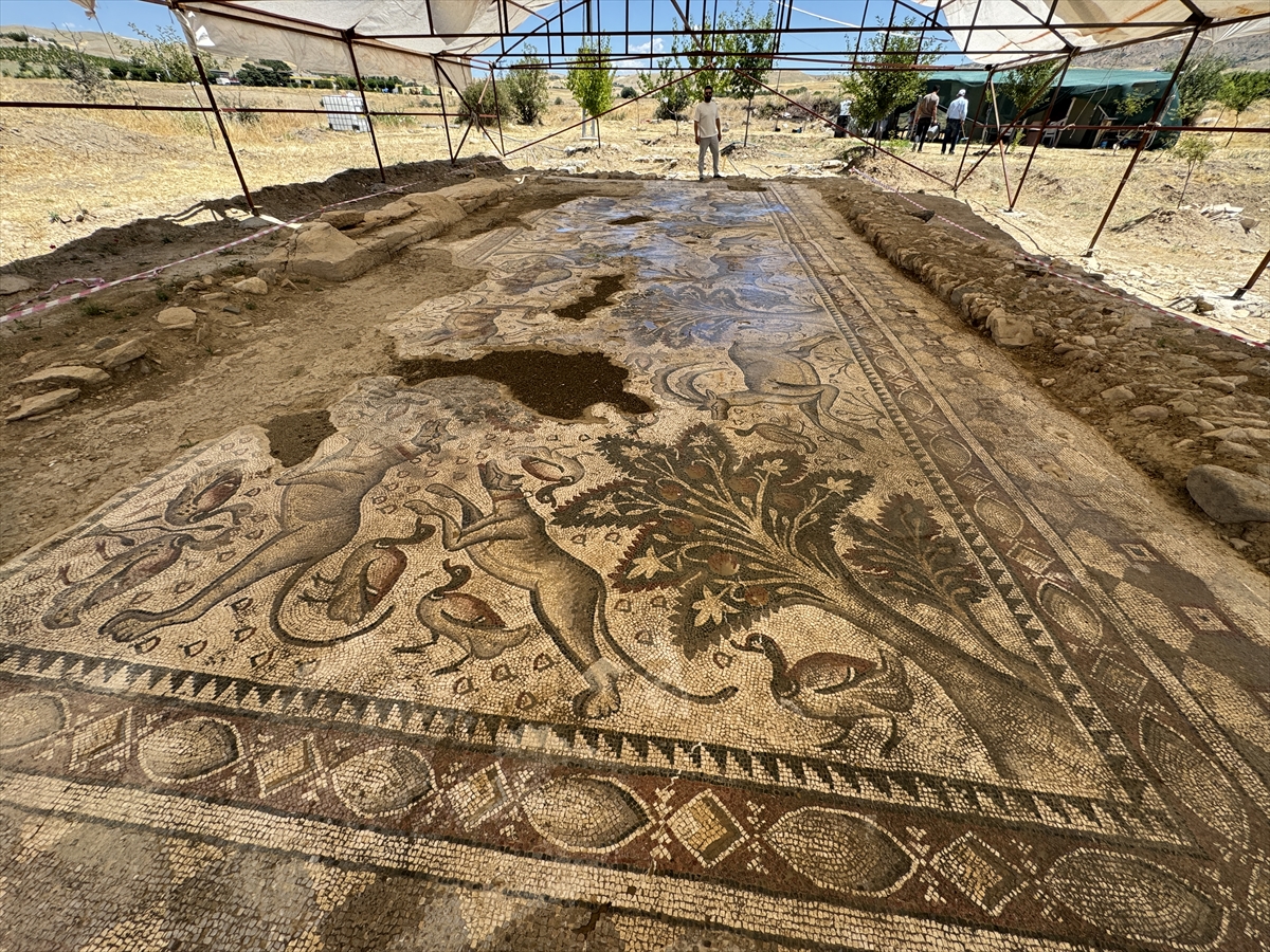 A A 20250714 38555410 38555409 E L A Z I G D A B I R T A R L A D A Y A K L A S I K 1700 Y I L L I K R O M A H A M A M I G U N Y U Z U N E C I K A R I L D I