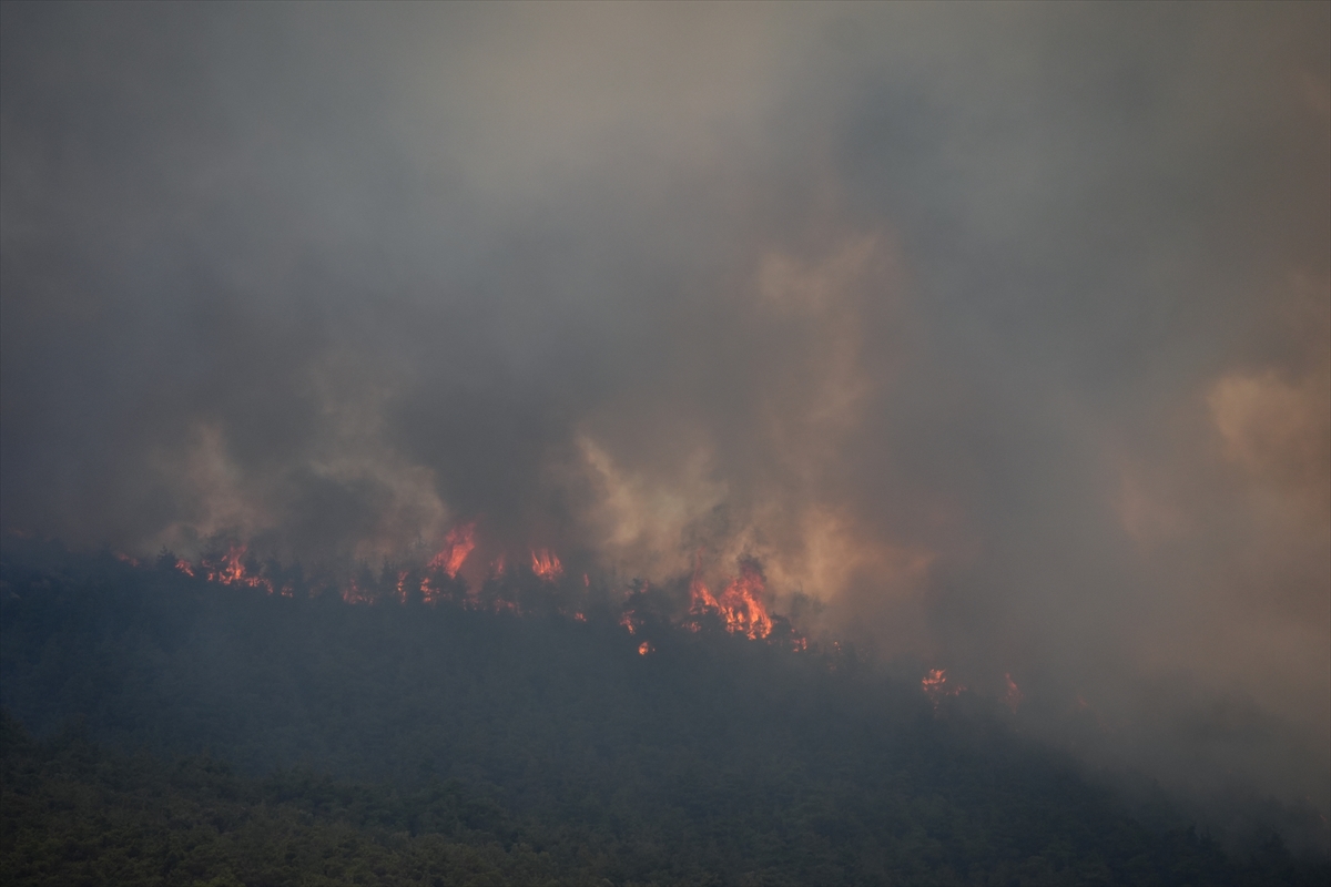 A A 20250721 38620229 38620222 S A K A R Y A D A O R M A N L I K A L A N D A C I K A N Y A N G I N B I L E C I K T A R A F I N A S I C R A D I