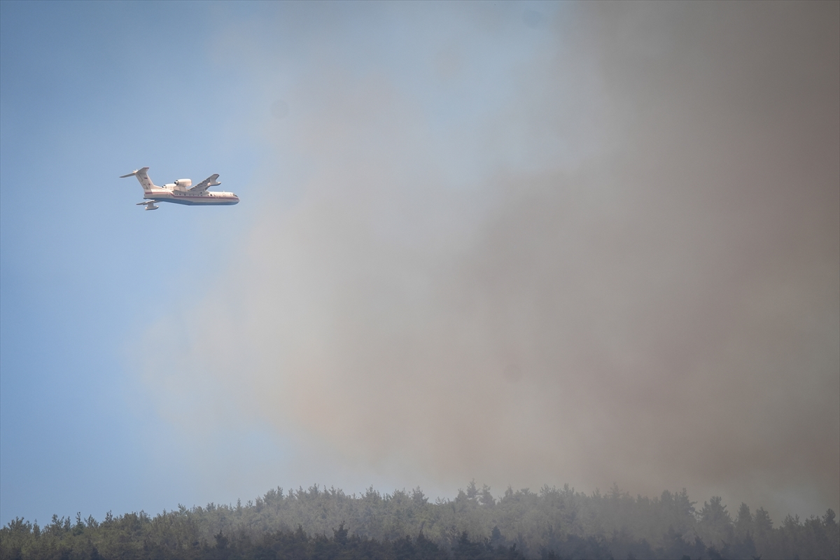 A A 20250721 38620229 38620228 S A K A R Y A D A O R M A N L I K A L A N D A C I K A N Y A N G I N B I L E C I K T A R A F I N A S I C R A D I