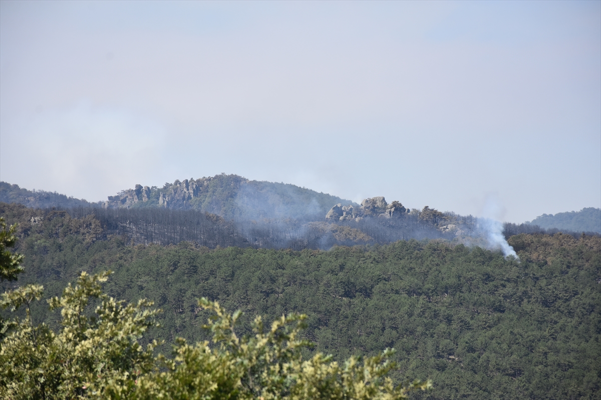 A A 20250723 38636475 38636472 E S K I S E H I R D E O R M A N L I K A L A N D A C I K A N Y A N G I N A M U D A H A L E S U R U Y O R