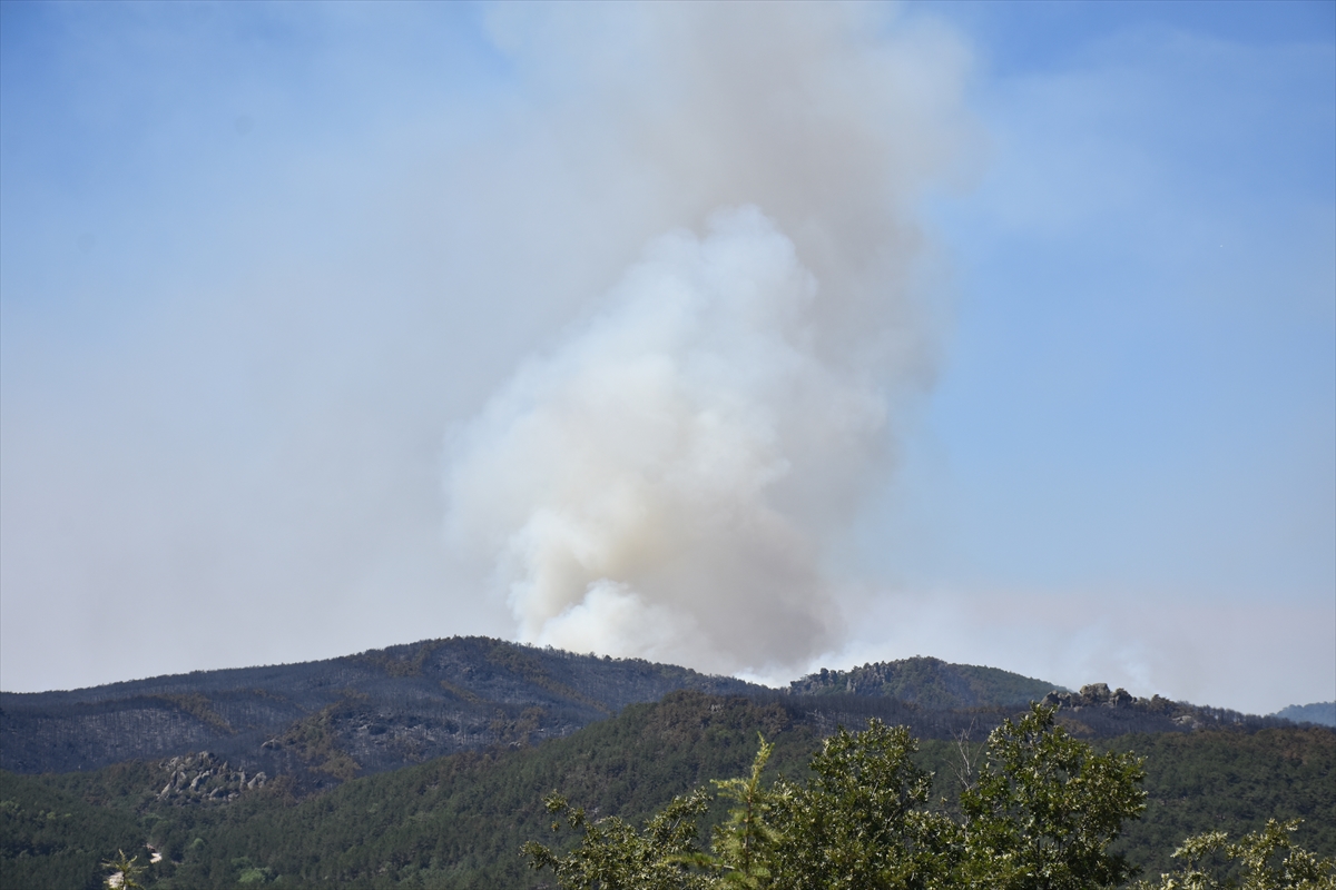 A A 20250723 38636475 38636473 E S K I S E H I R D E O R M A N L I K A L A N D A C I K A N Y A N G I N A M U D A H A L E S U R U Y O R