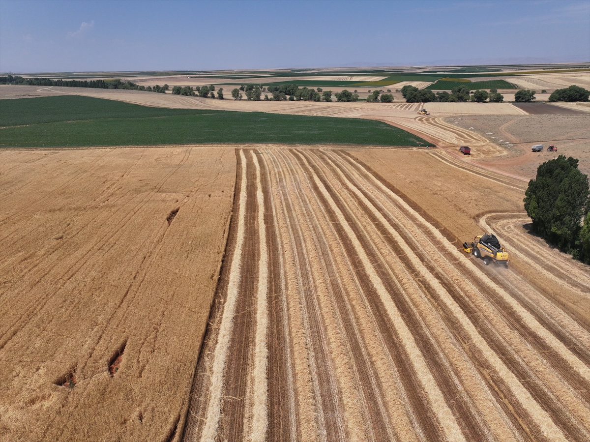 A A 20250723 38636703 38636696 K O N Y A O V A S I N D A B U G D A Y D A Y U Z D E 15 A R P A D A Y U Z D E 30 R E K O L T E K A Y B I B E K L E N I Y O R