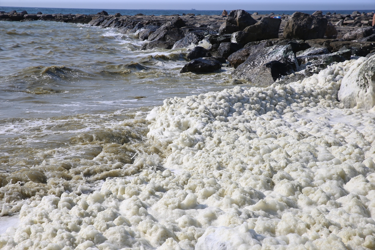 A A 20250723 38637614 38637608 H A T A Y D A D E N I Z K I Y I S I N D A K O P U K B E N Z E R I T A B A K A O L U S T U