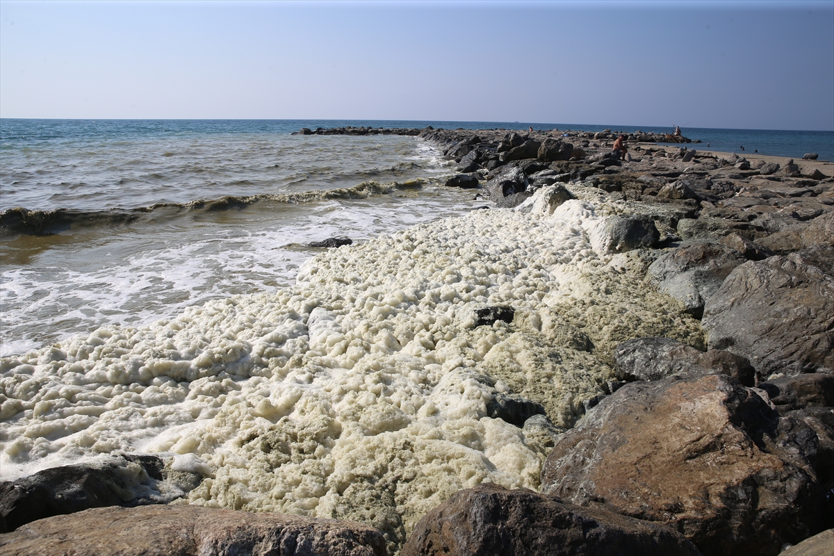 A A 20250723 38637614 38637611 H A T A Y D A D E N I Z K I Y I S I N D A K O P U K B E N Z E R I T A B A K A O L U S T U