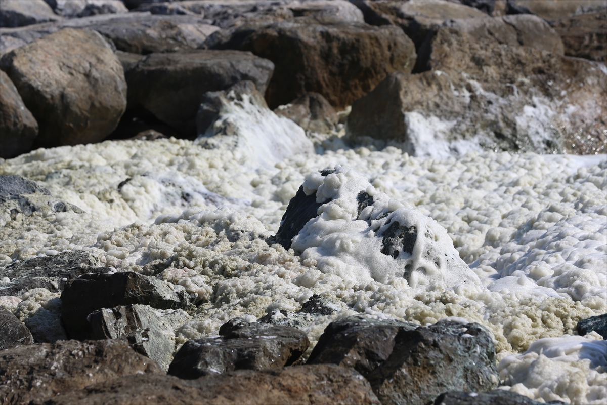 A A 20250723 38637614 38637612 H A T A Y D A D E N I Z K I Y I S I N D A K O P U K B E N Z E R I T A B A K A O L U S T U