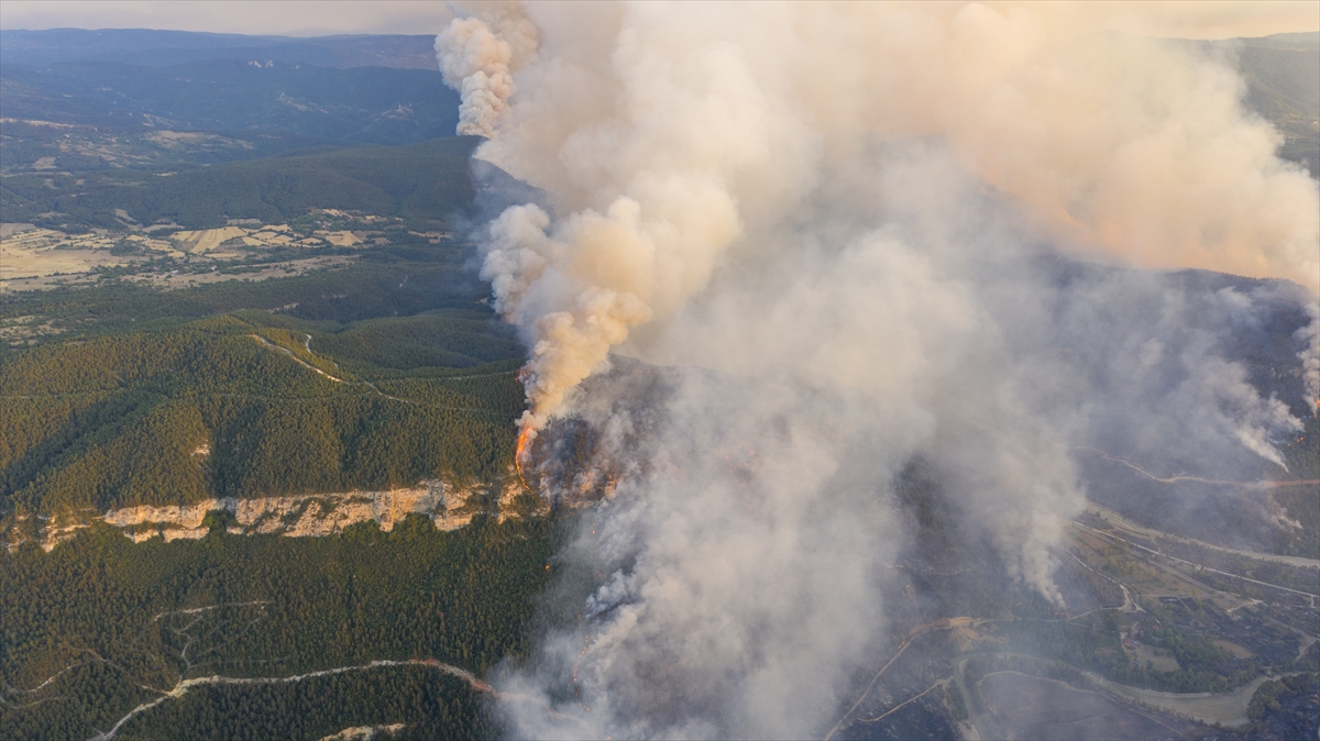 A A 20250723 38642299 38642292 K A R A B U K T E O R M A N L I K A L A N D A C I K A N Y A N G I N A M U D A H A L E E D I L I Y O R