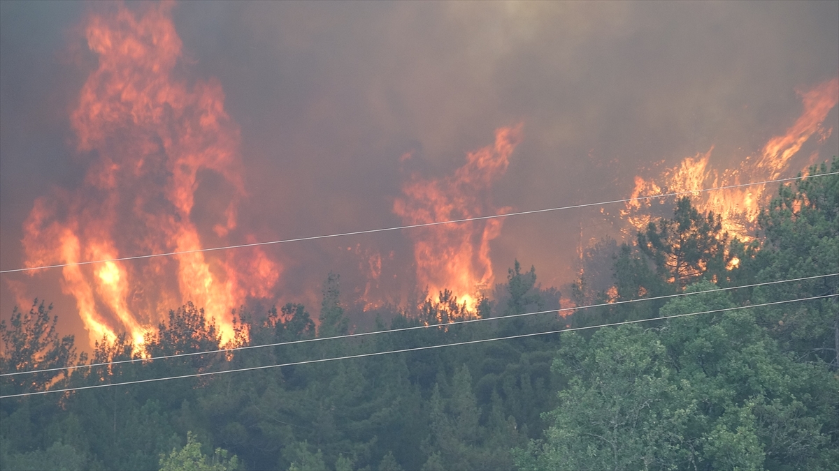 A A 20250724 38650699 38650692 K A R A B U K T E K I O R M A N Y A N G I N L A R I N A 2 G U N U N D E M U D A H A L E S U R U Y O R