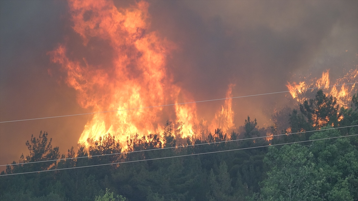 A A 20250724 38650699 38650694 K A R A B U K T E K I O R M A N Y A N G I N L A R I N A 2 G U N U N D E M U D A H A L E S U R U Y O R