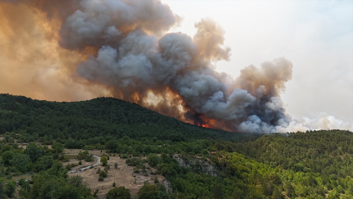 A A 20250725 38659447 38659445 K A R A B U K T E K I O R M A N Y A N G I N L A R I N A 3 G U N U N D E M U D A H A L E S U R U Y O R