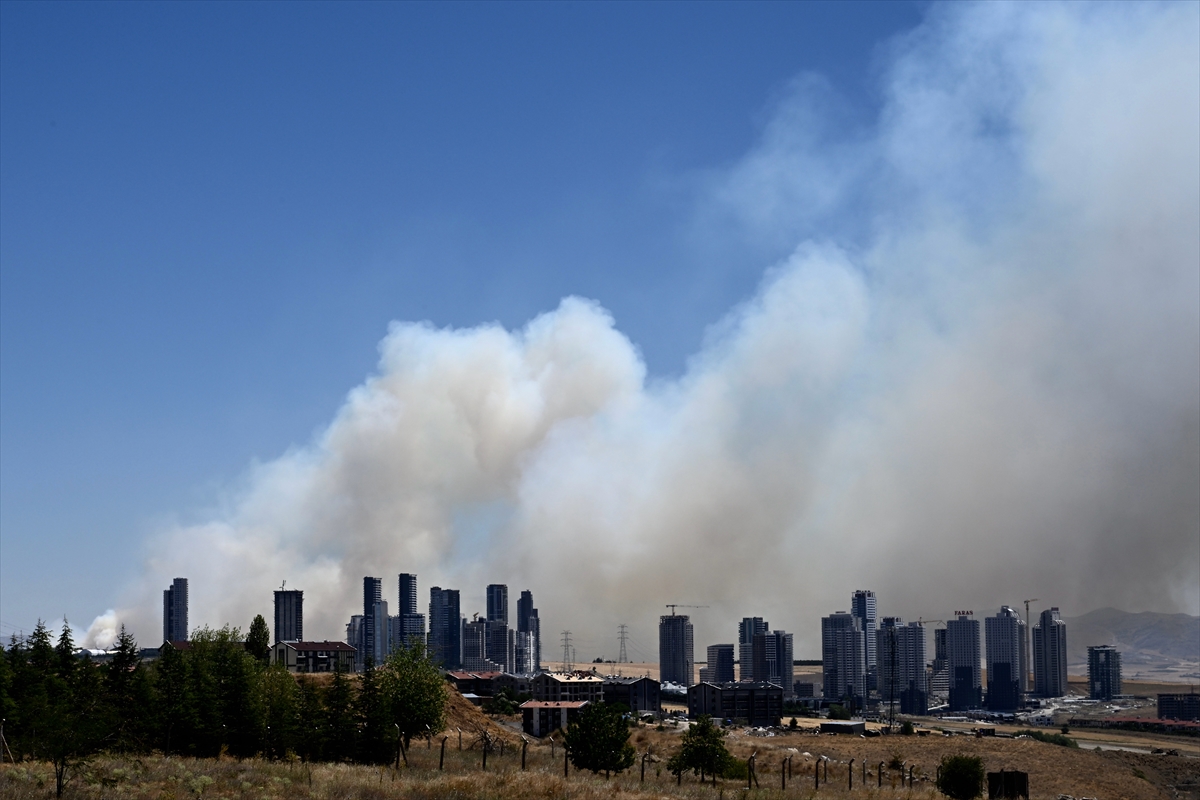 A A 20250726 38667536 38667532 A N K A R A D A O R M A N Y A N G I N I