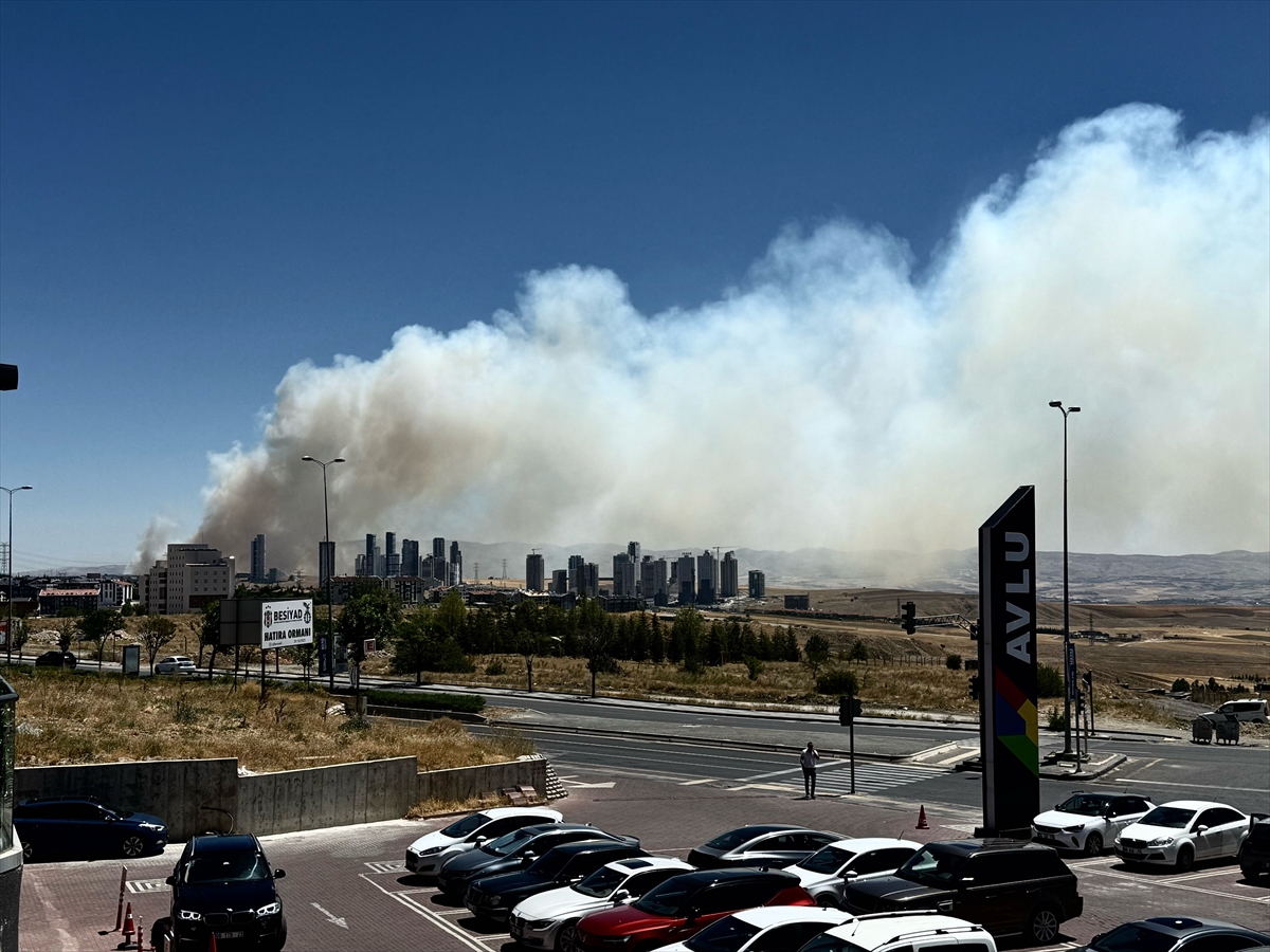 A A 20250726 38667536 38667534 A N K A R A D A O R M A N Y A N G I N I